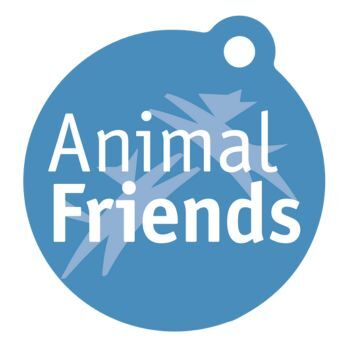 Holiday Pet Photos 2025 - logo